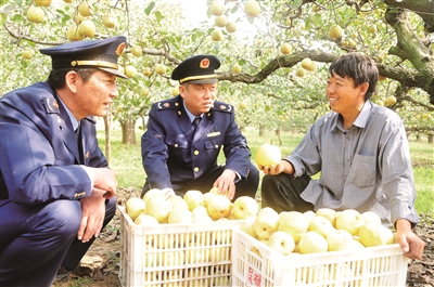 让商标成为经济发展的新引擎