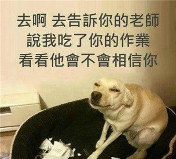孩子赶紧跟妈妈说:你给包老师打个电话录个视频……