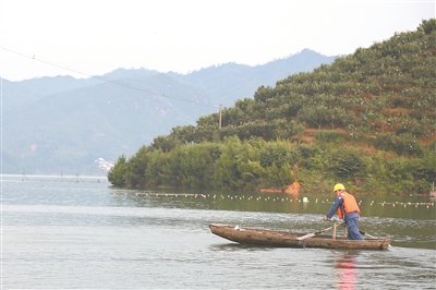 神冲村人口