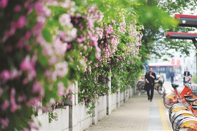 小长假天气不省心 明天苏南有小到中雨|局部_新浪娱乐_新浪网