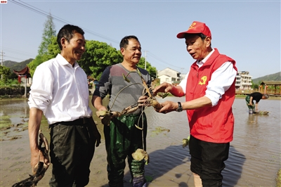 以高质量党建引领高质量发展