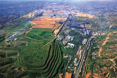 黑岱沟露天煤矿北排土场回建的万亩绿化灌木