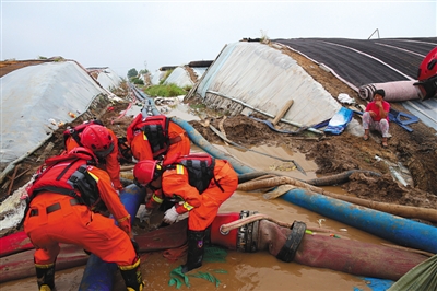 农业农村部:寿光洪灾不会大幅推高菜价