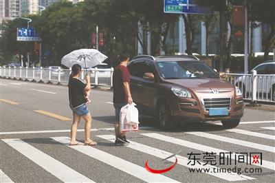 怎么样才算不礼让行人图片 m60L-hkmwytp3743407.jpg