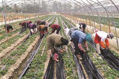 和县：奏响高质量发展最强音