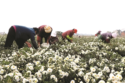 和县：奏响高质量发展最强音