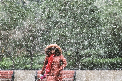 大雪节气，江苏等来一场“认真”的雪