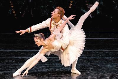 新年重温《天鹅湖》《胡桃夹子》