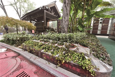 突破传统，功德园小型生态墓成购买主流