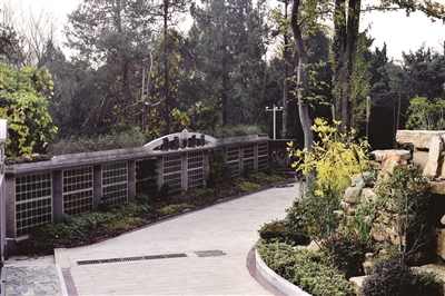 优质服务深入人心，小型生态墓赢得认可