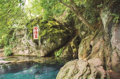 追忆！ 珍珠泉重温旧时光