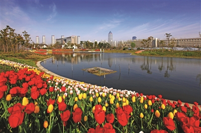 南通：碧水蓝天辉映战略支点