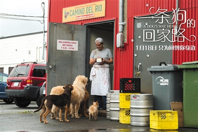 狗年最后一部“狗片”最有黑马相