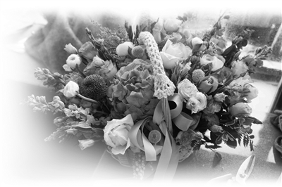 年前买满天星、紫罗兰要趁早 下周鲜花或涨价两成