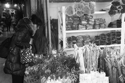 年前买满天星、紫罗兰要趁早 下周鲜花或涨价两成