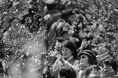 问君能有几多愁 不知江南阴雨何时休?