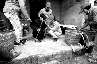 重庆陶家人口_重庆人口大迁徙