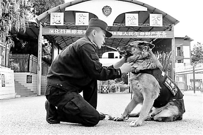缉毒警犬尔腾生前与边防工作人员在一起