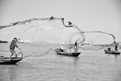  长江下游地区渔民撒网捕鱼。石玉成摄/光明图片