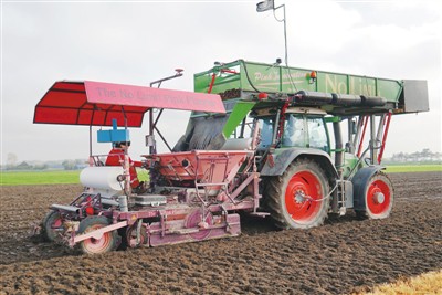 郑州卢森堡空中丝绸之路 一束郁金香的一带一路