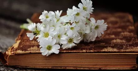 高考英语完形填空正解72字顺口溜,早看早受益