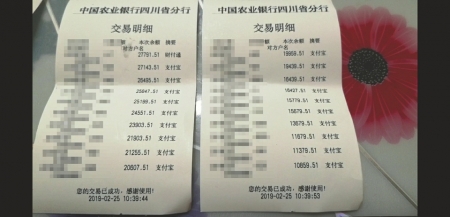 支付转款的记录。