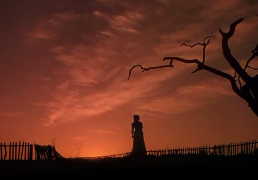 赵立新北影节双语台词致敬无间道、乱世佳人、