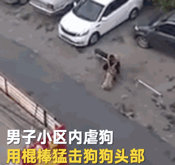 男子边说"再嚎!",边继续打狗.