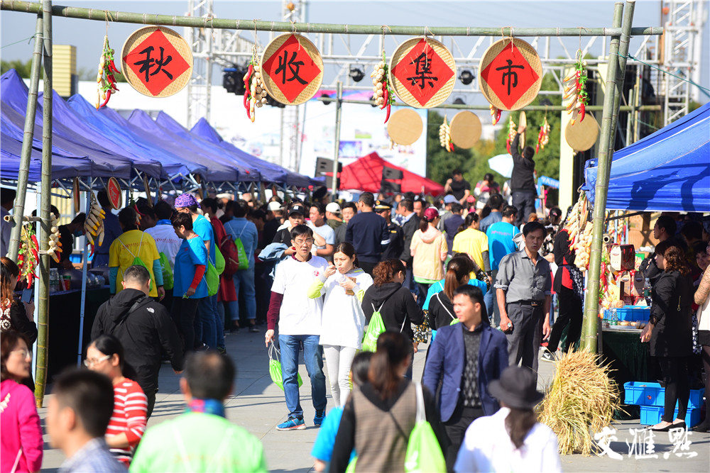 鸿山小镇人口_鸿坤原乡小镇户型图