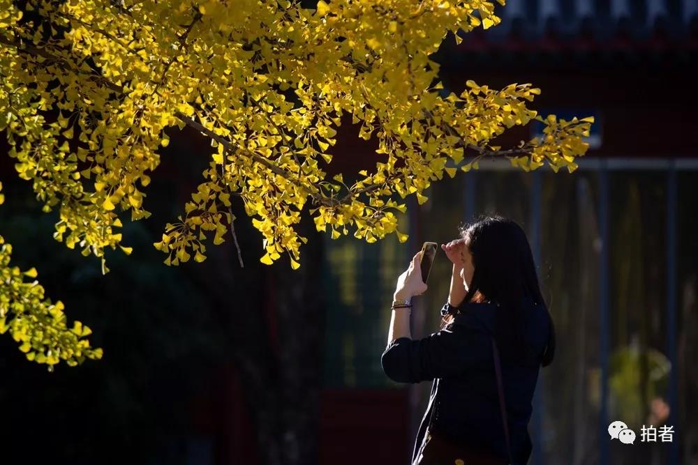 拍照怎么才能不曝光 e88e-ihuuxuu8329980.jpg