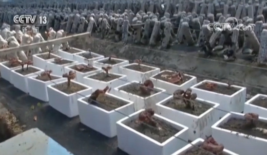 乌什人口_乌什县城图片(2)