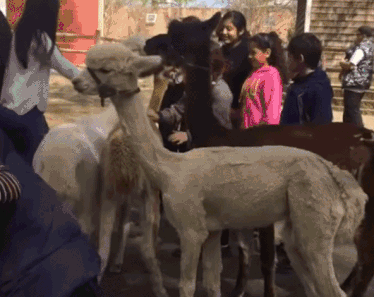 勤俭节约一直是传统美德，姑娘这衣服看起来缝缝补补还能穿三年