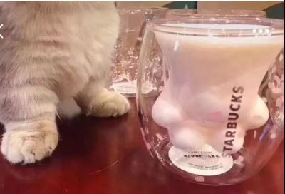 星巴克杯子与文创设计的碰撞，不只“猫爪杯”！