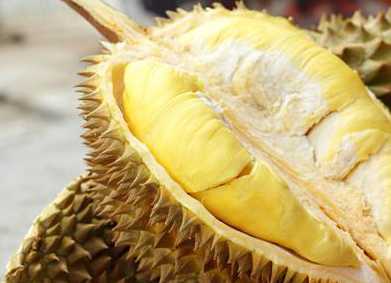 榴莲吃着很香 但是榴莲过敏了怎么办