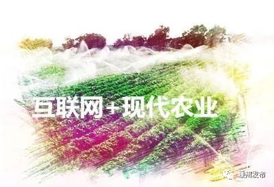 【乡村振兴】实施产业提质行动,打造产业兴旺