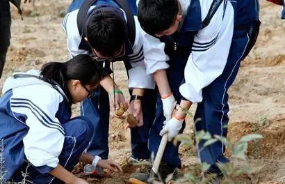 太原新道街小学校服爆红!中小学校服大pk!看看