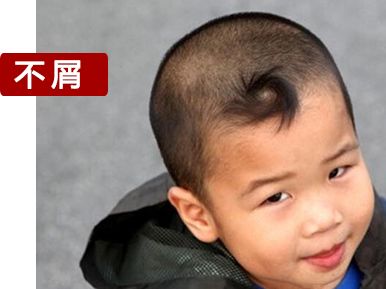 头上有两个旋的人更聪明?