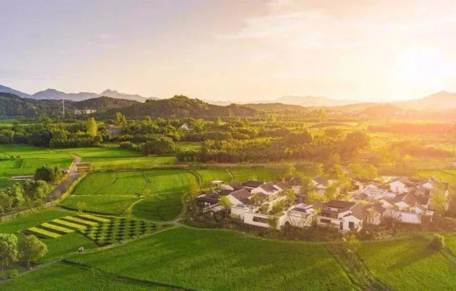 遇见蓝城小镇，美好生活一见如故--江西媒体杭州零距离之旅