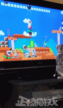 20多天销量超1200万!任天堂的大作彻底征服老外,玩家都玩疯了!