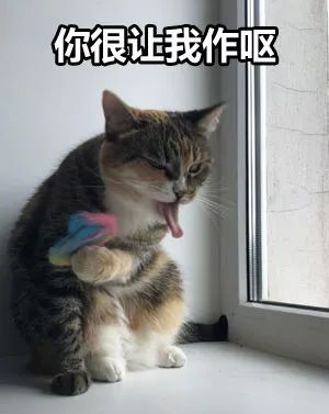网友有天拍到自家猫一组很沙雕的图片,看第一张就笑屎