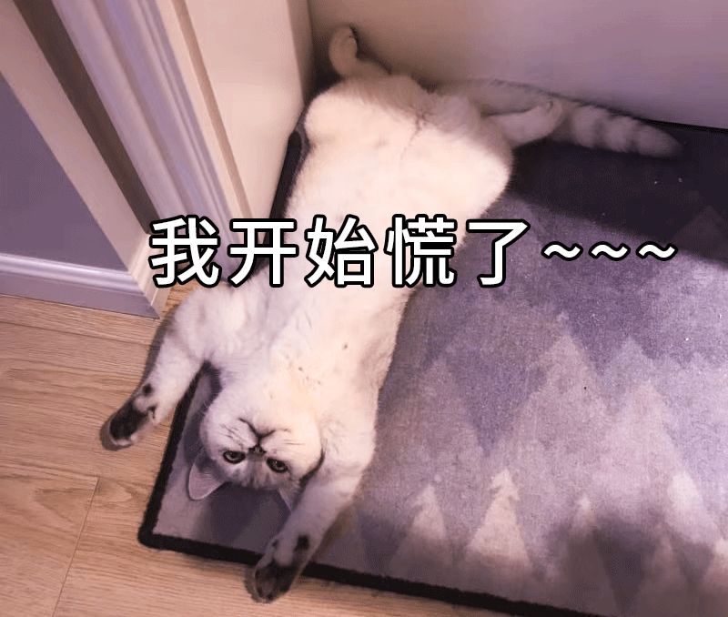k8下载体育平台_日本女生票选出镜率最高的五种颜色球鞋搭配,让你每天造型不重样