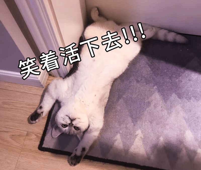 必赢娱乐网上注册 豆油中短期难以深跌