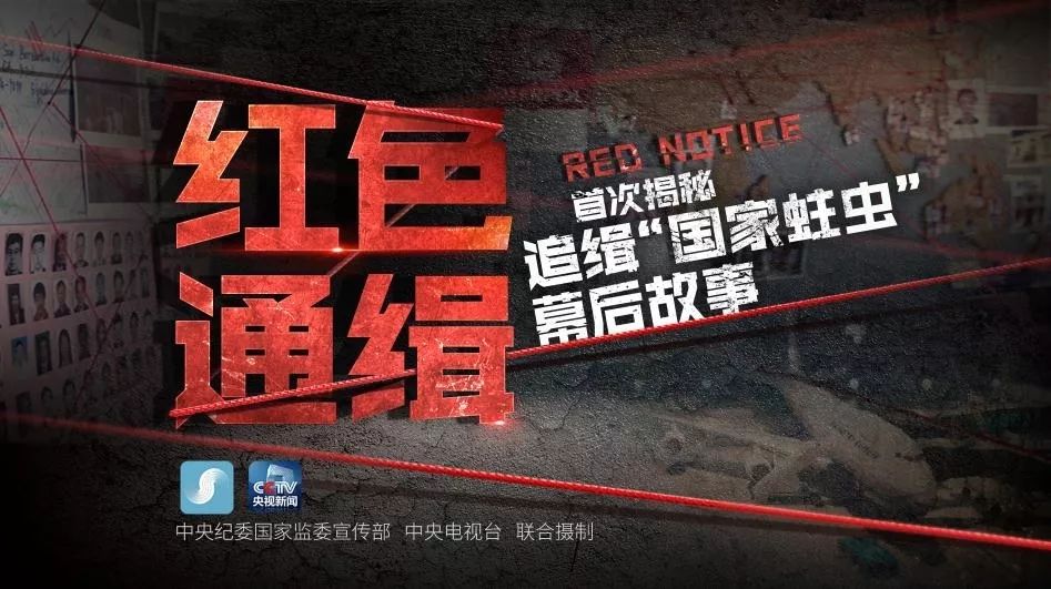 央视这套反贪大片,比美剧好看100倍 央视这套反贪大片,比美剧好看100倍