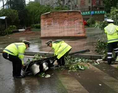 狂风暴雨突袭 垫江交巡民警上路抢险保畅