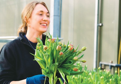 郑州卢森堡空中丝绸之路 一束郁金香的一带一路