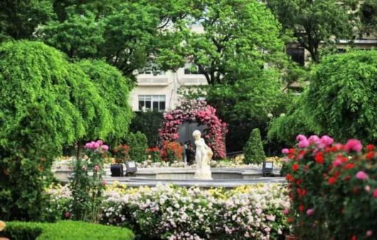 上海十大值得一逛的老公园,有美景有传奇