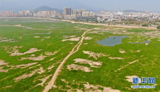  江西省庐山市鄱阳湖湖区干涸情况 图片来源：新华社