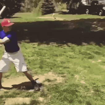 我这一棒子下去居然没有打碎 动图 小姐姐摔疼了么