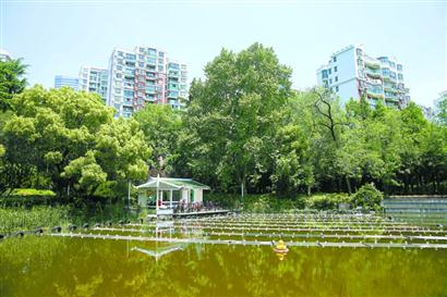 中科院上海硅酸盐研究所团队成功研发治污新材