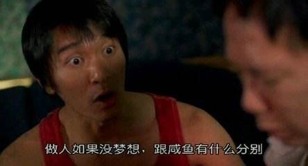 浩博网上赌场 猪年你被冲了吗?| 今天聊聊八字